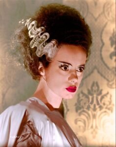Sustainable Bride of Frankenstein hairstyle by Eco hair studio